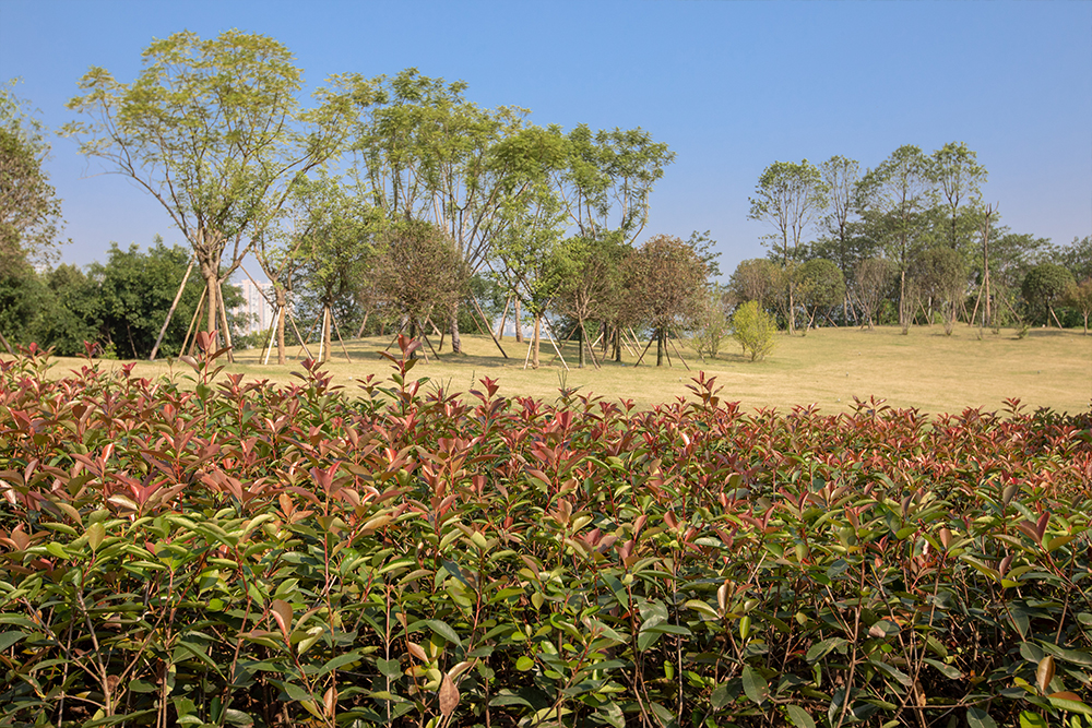 中天文旅城 中天文旅城